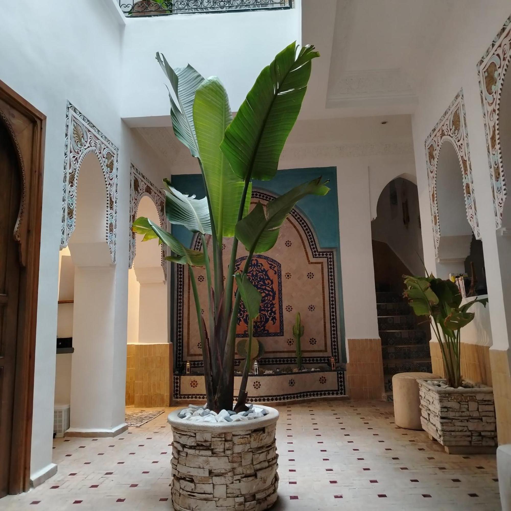Riad & Spa Sous Le Soleil Chez Jerome Et Pamela Ch Marrakchi Marrakesh Bagian luar foto
